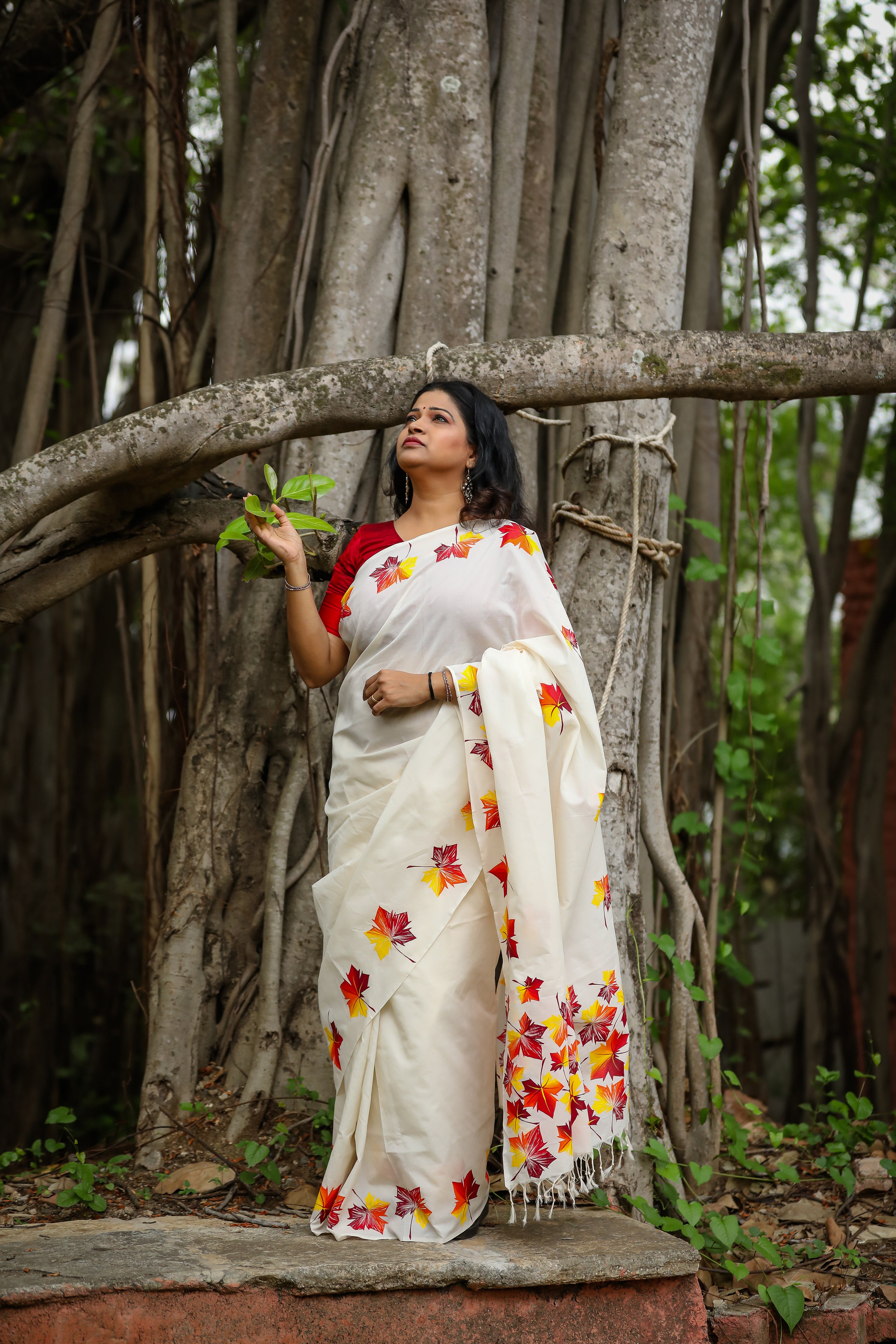 Maple saree