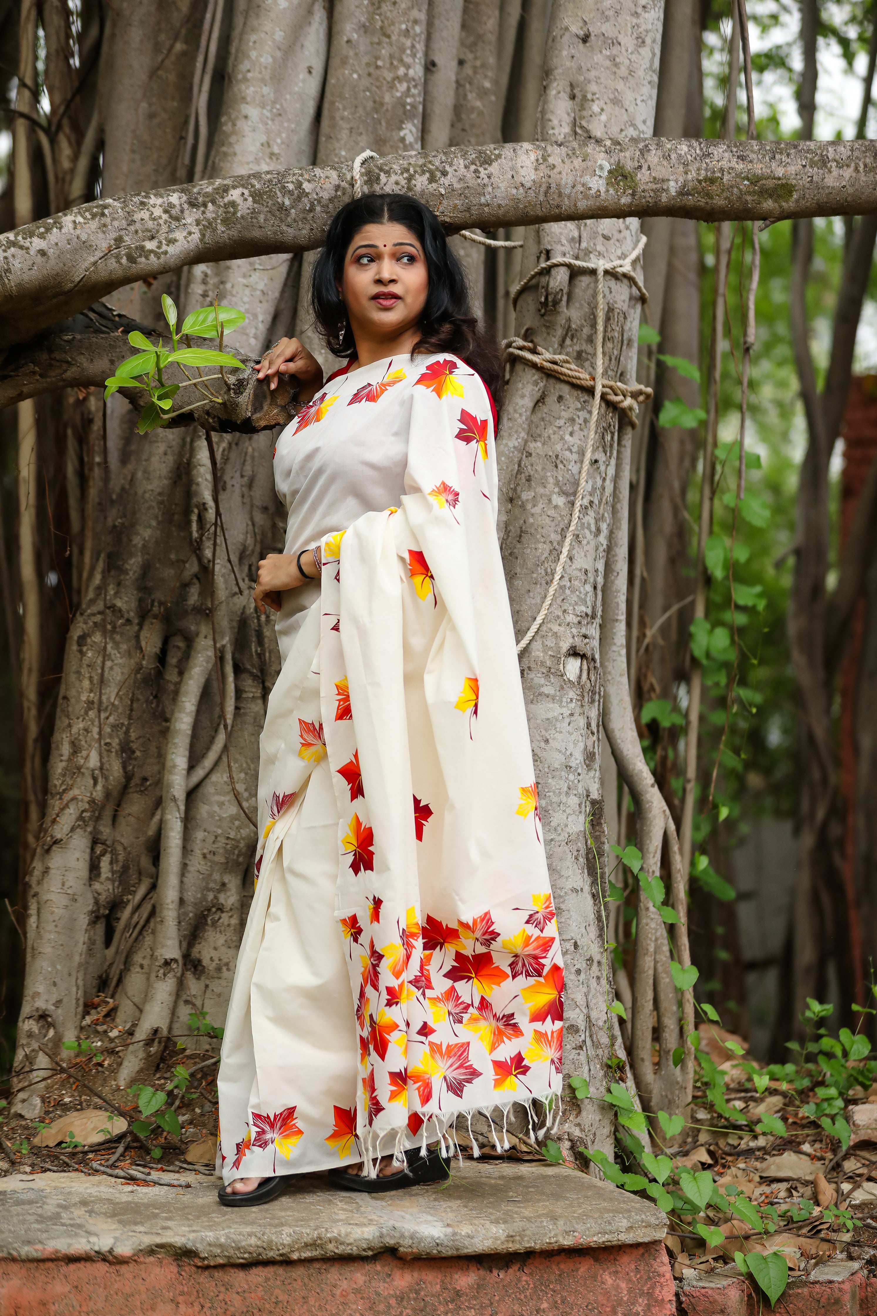 Maple saree