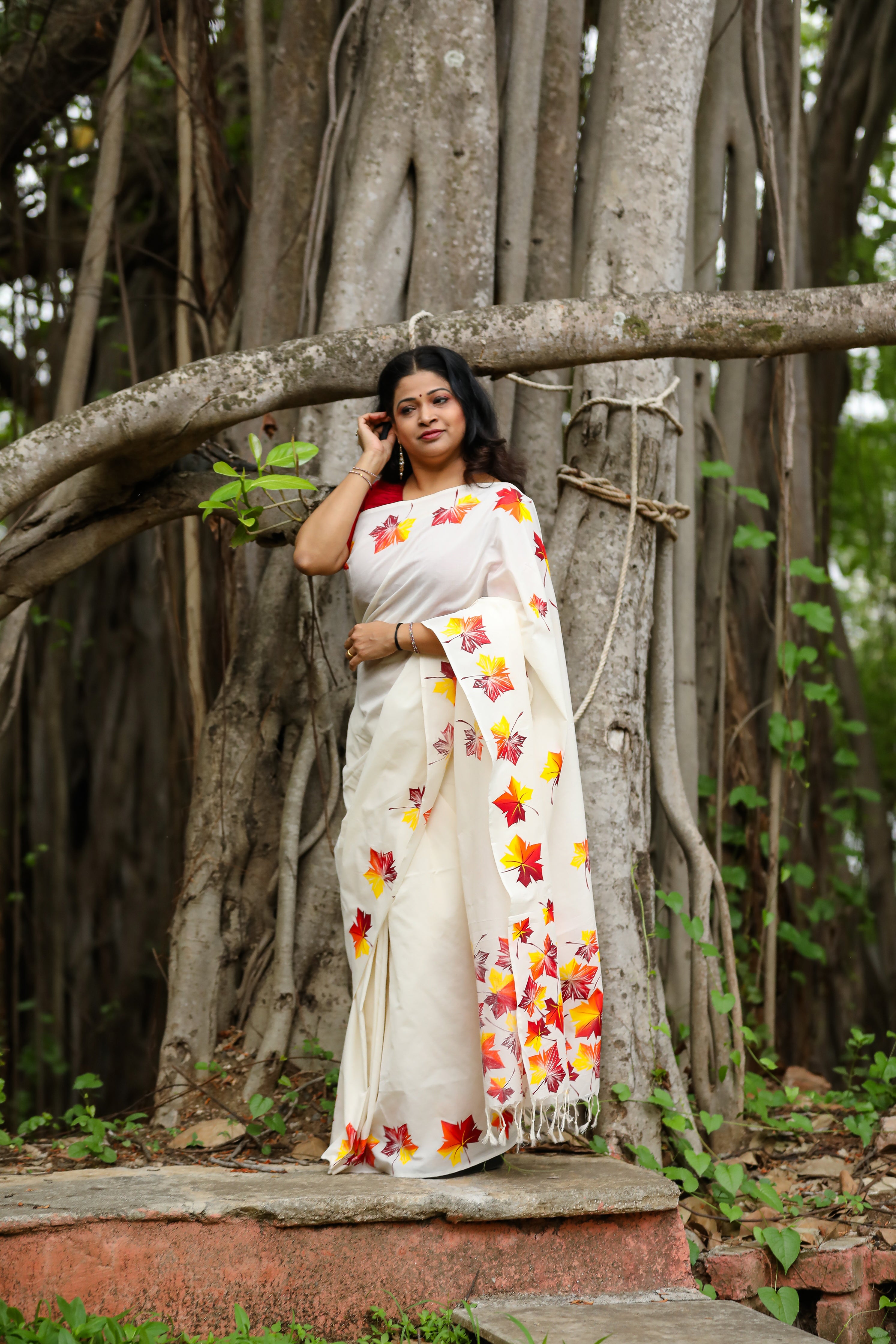 Maple saree