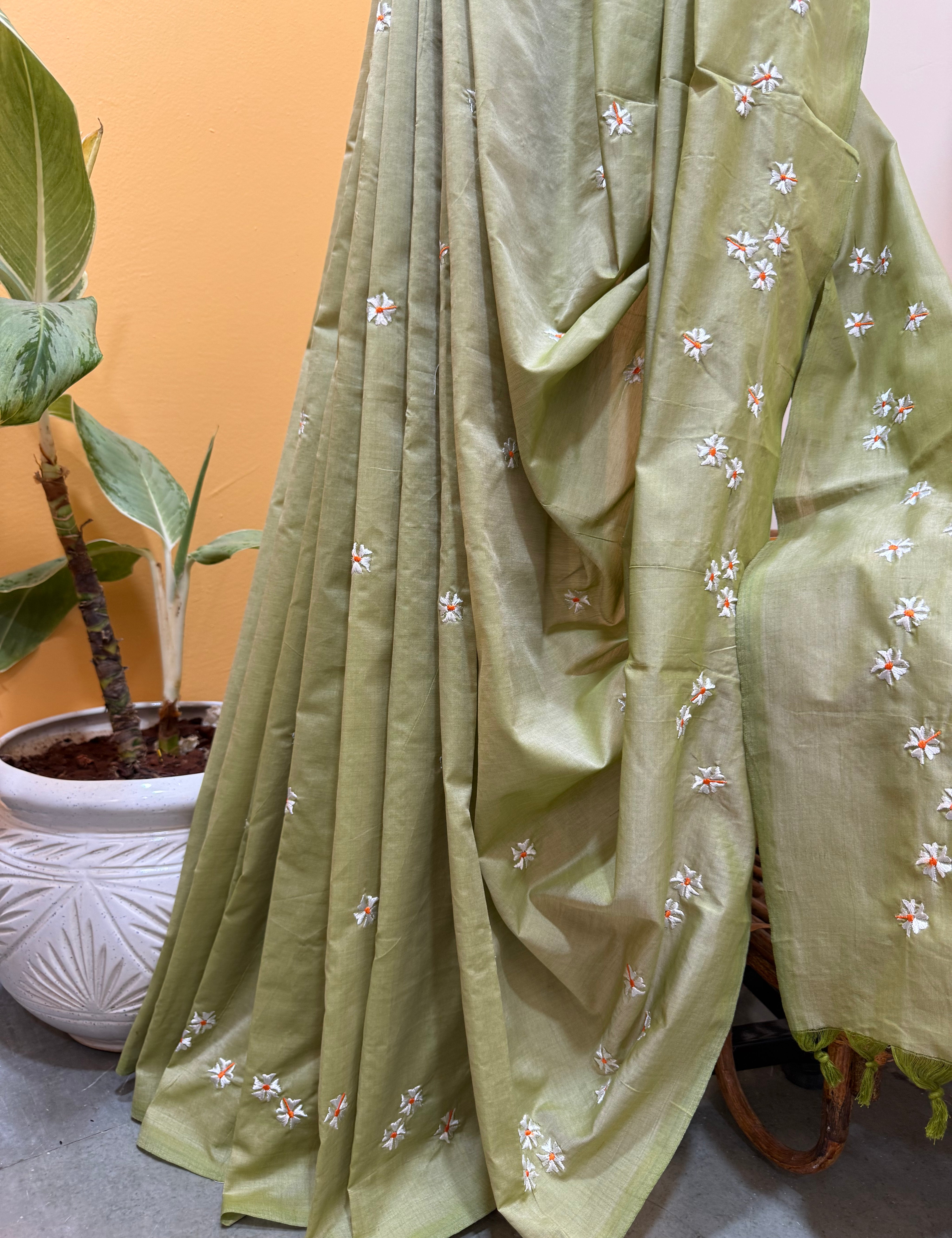Light_olive_colour_1.heic