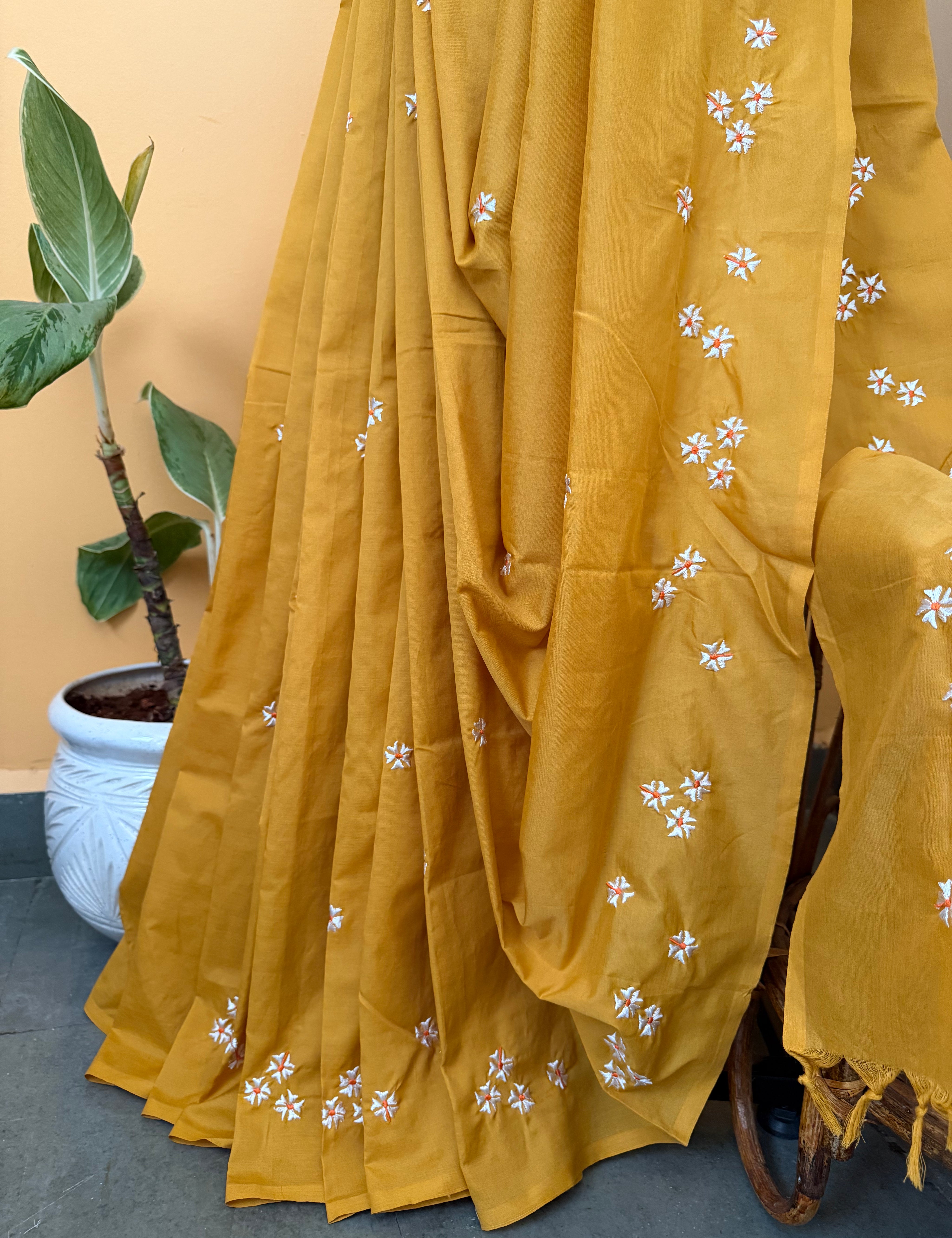 Turmericyellowcolour_1.heic