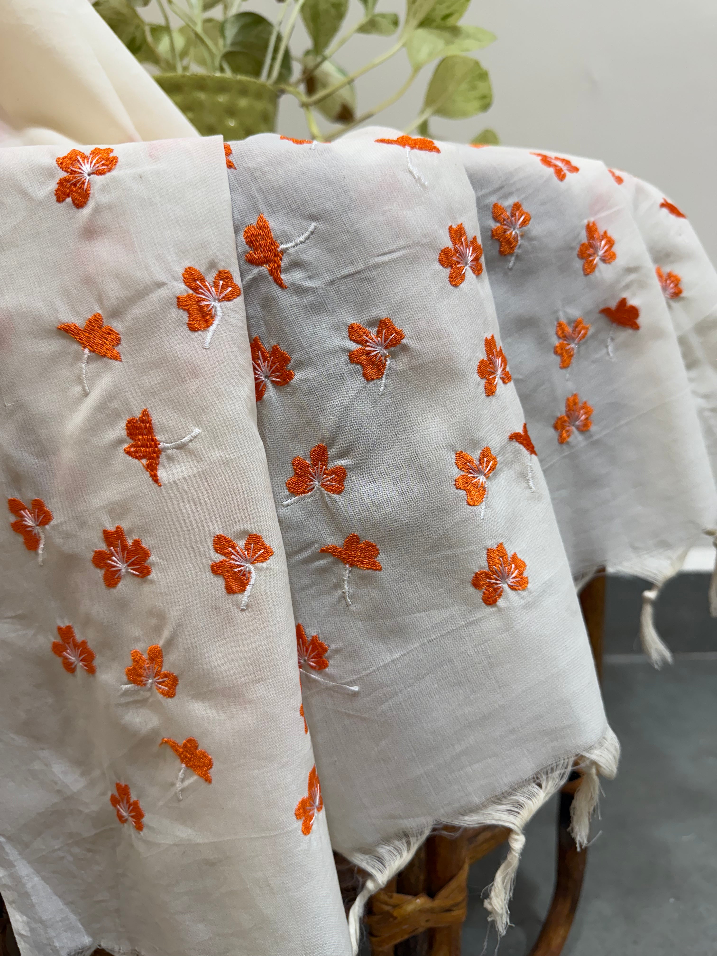 Aboli Saree - White